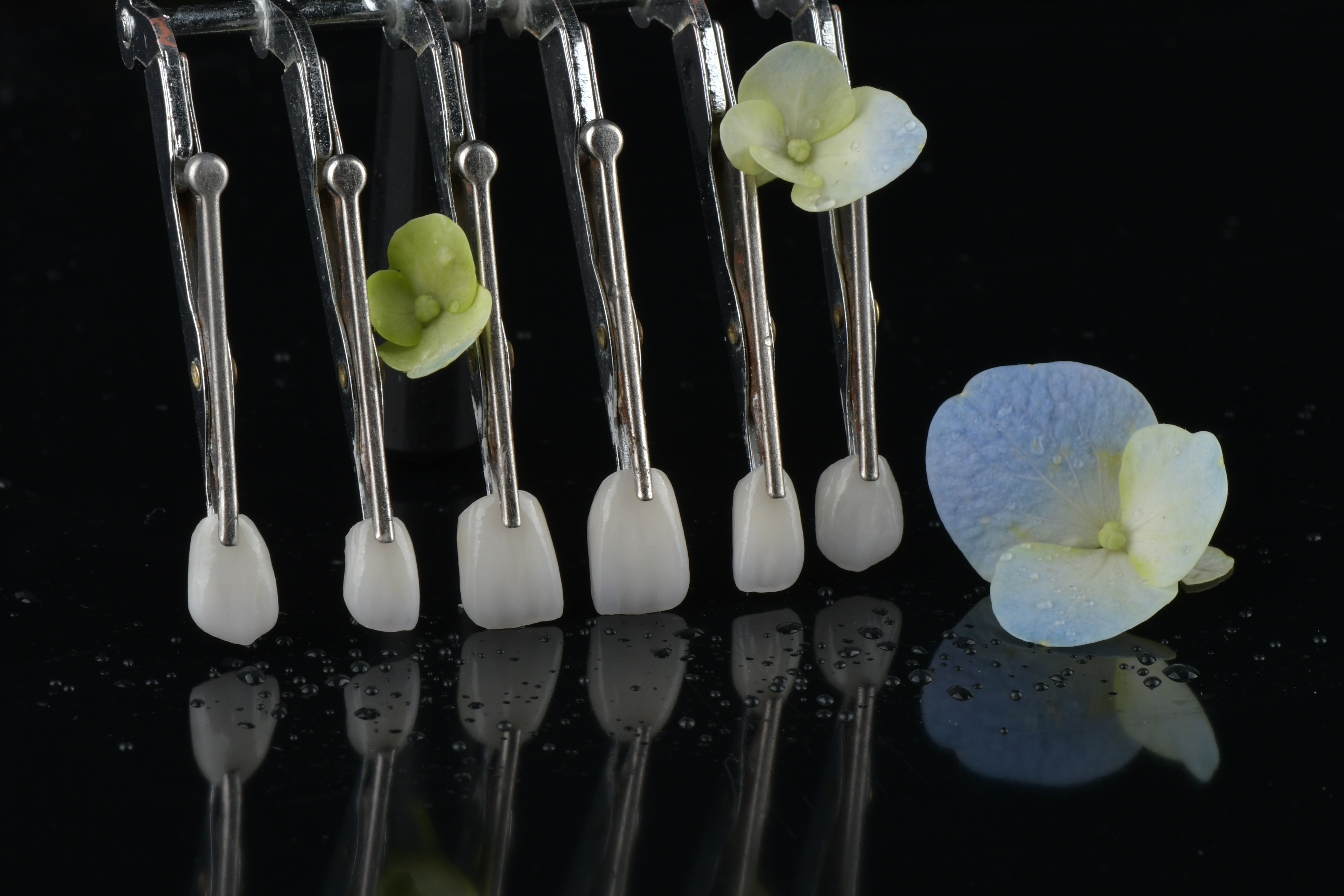 최신 회사 블로그 고정 복원에는 후속 약속이 필요합니까?